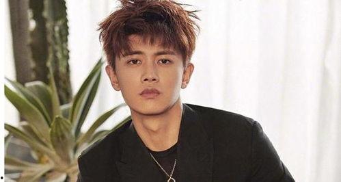 任嘉伦 吃瓜,娱乐圈“吃瓜”达人，揭秘明星幕后故事