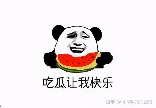 吃瓜尴尬文案短句,那些让人哭笑不得的短句集锦