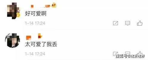 微信qq吃瓜,微信QQ吃瓜背后的故事