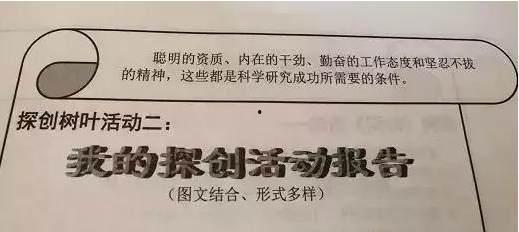 报告慕机长叶小姐单飞了,慕机长独立展翅新篇章